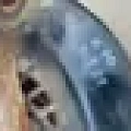 Кулак поворотный Toyota Camry 70